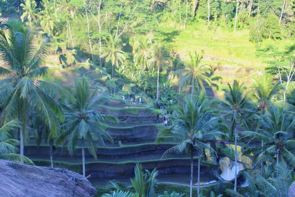 A Taste of Indonesia: Bali&nbsp;(2013)