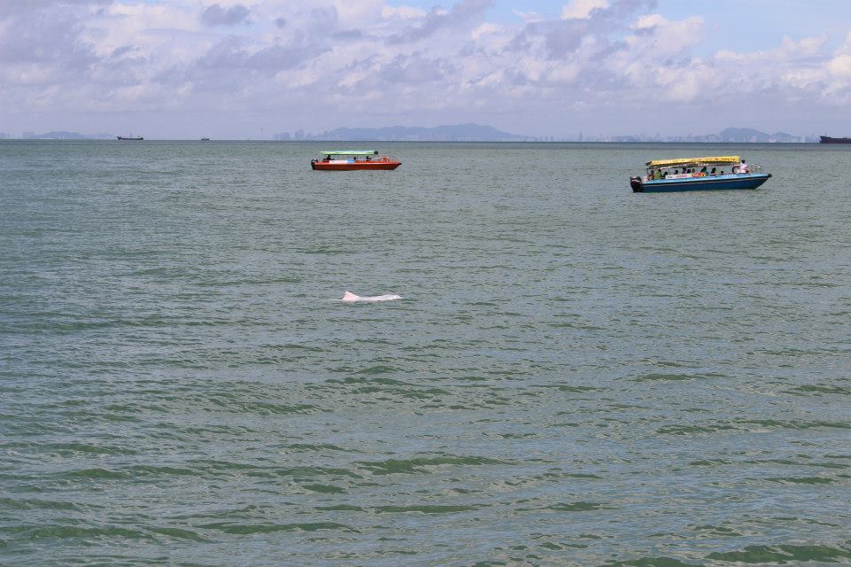 547463_618059848214824_751258370_n