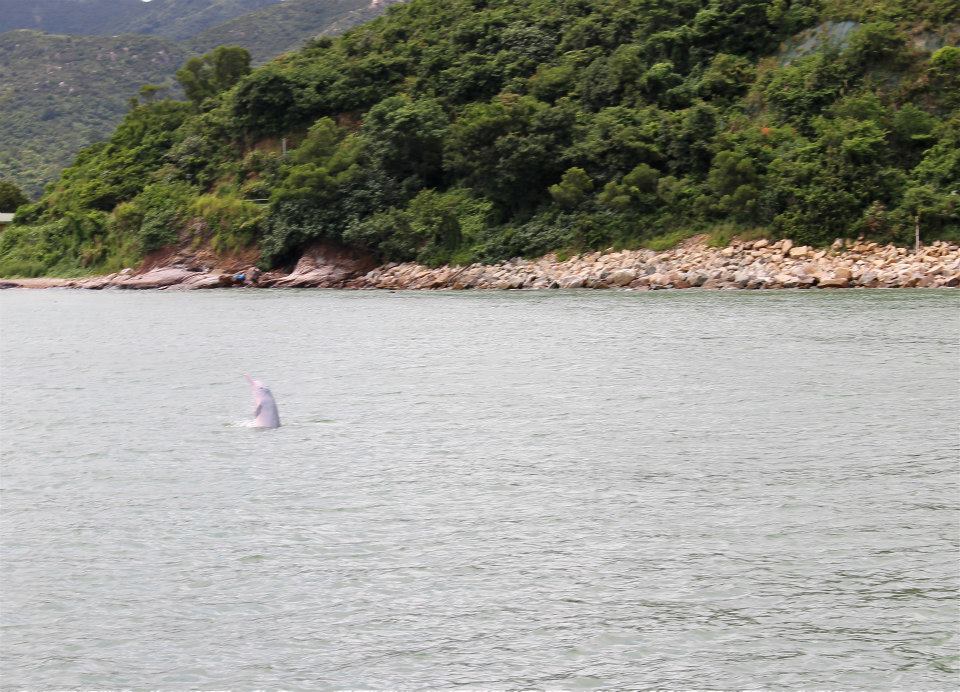 972149_618044018216407_1205962419_n