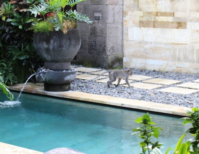 996541_609420442412098_1812400758_n